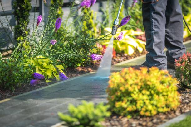 Best Roof Washing  in Wheaton, IL