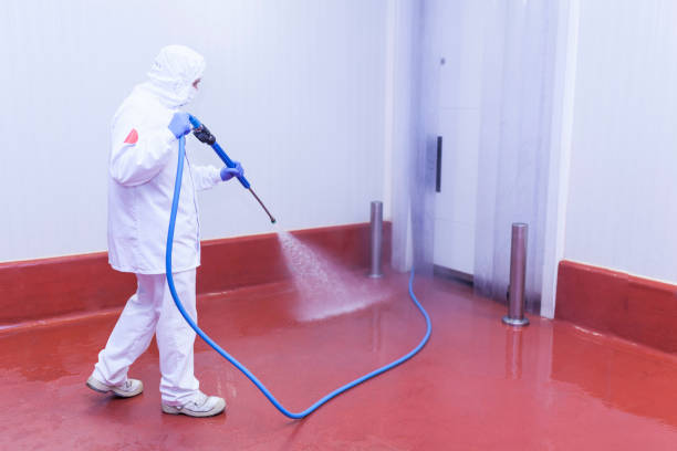 Best Soft Washing  in Wheaton, IL