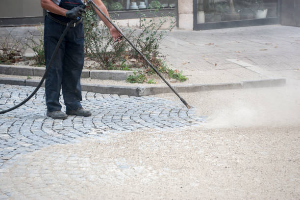 Best Pre-Holiday Cleaning  in Wheaton, IL