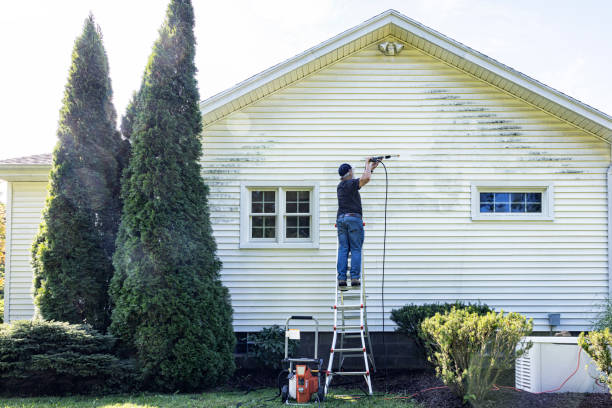 Best House Exterior Washing  in Wheaton, IL